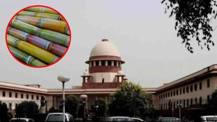 Sugarcane, Delhi High Court, Supreme Court,