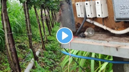 farmers be careful while working in farms during rainy season a snake was hiding under the electric box see the thrilling Shocking video