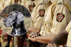 nagpur dog bite police marathi news