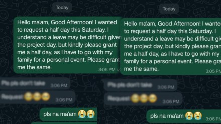 Whatsapp Chat Viral Woman Ask Leave For Mother But Boss Give Her Funny Reply chat goes viral on social media