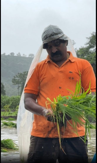 Pravin Tarde Rice Farming