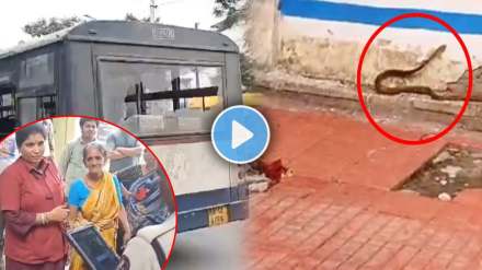 TGSRTC Bus Viral Video hyderabad viral video snake thrown on bus conductor