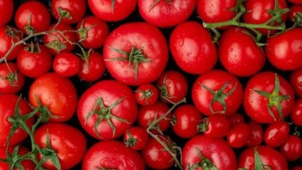 Big drop in tomato prices Rs 40 to 50 per kg in retail market