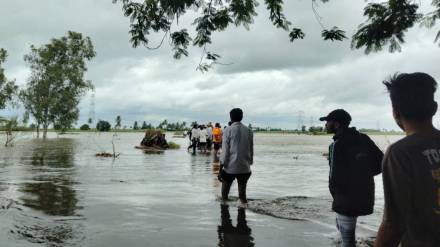 kolhapur district, shirol taluka, Tractor overturned, seven people missing, search operation, krishna river