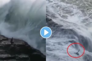 a young man was swept away in a large sea wave | Viral Video