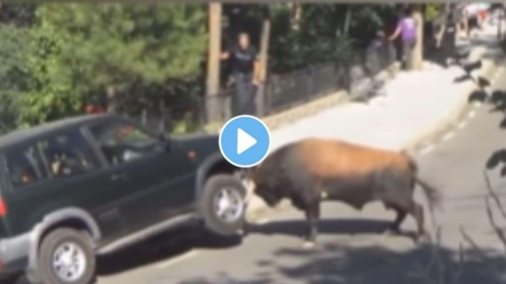 A bull Picked up a four-wheeler vehicle with full of people