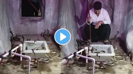 Viral Video Shows Man Locked In A Room Full Of Snakes