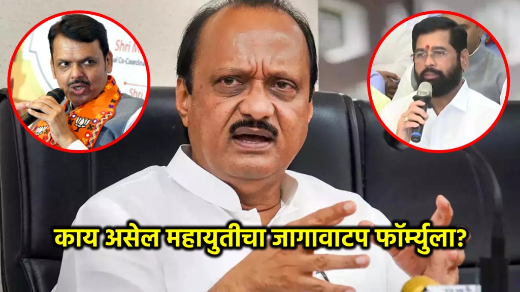 ajit pawar on mahayuti seat sharing formula