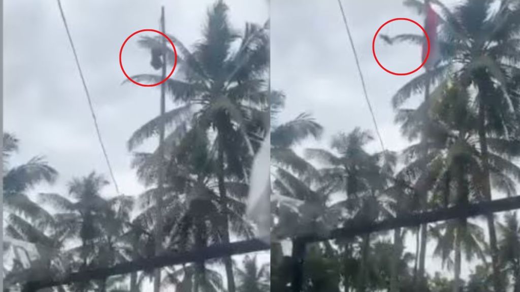 bird didn’t unfurl tricolour during Independence Day celebration in Kerala