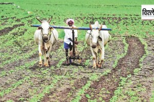 farmer income double marathi news