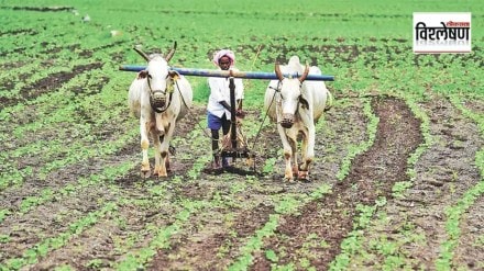 farmer income double marathi news