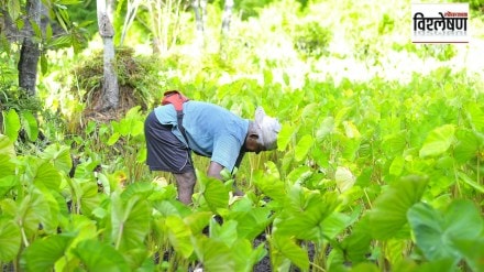 decision support system for agriculture in marathi