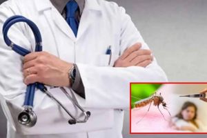 Chikungunya outbreak in Nagpur government doctors on strike