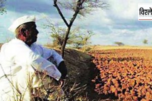 loksatta explained Why is the area under crops decreasing in Maharashtra