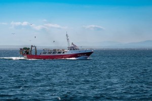 Sindhudurg, Fishing boat accident,