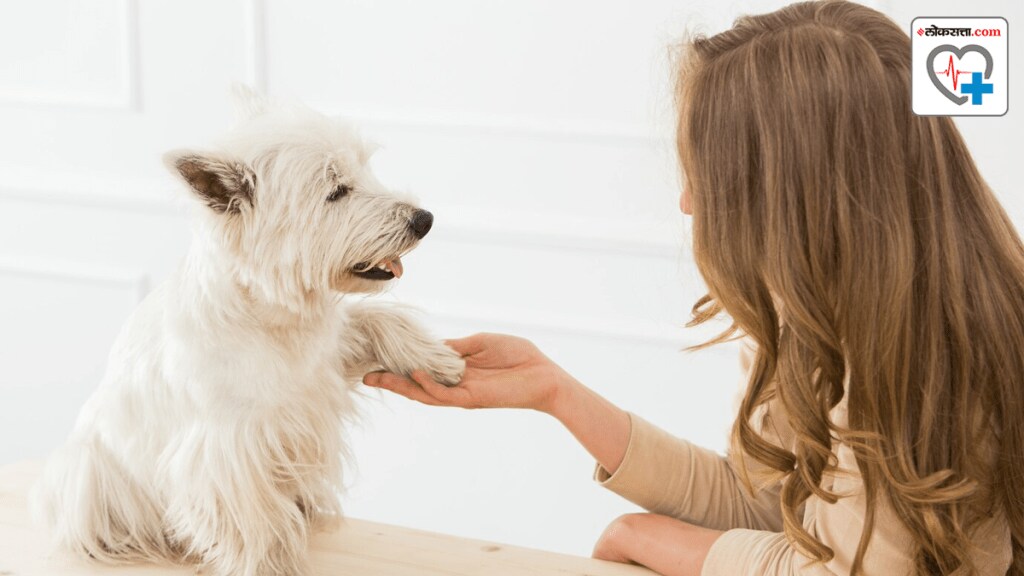 is pet perfume safe for your dog and cat know experts advice pet perfume risks