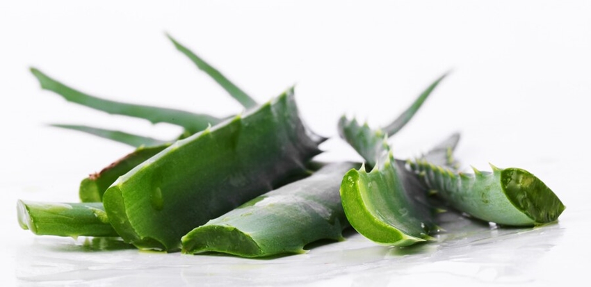 Aloe Vera Gel Health Benefits