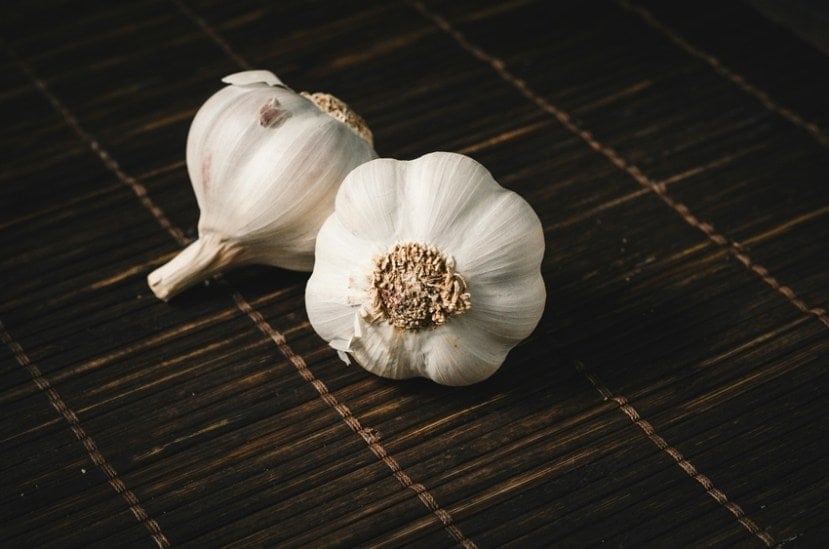 Garlic