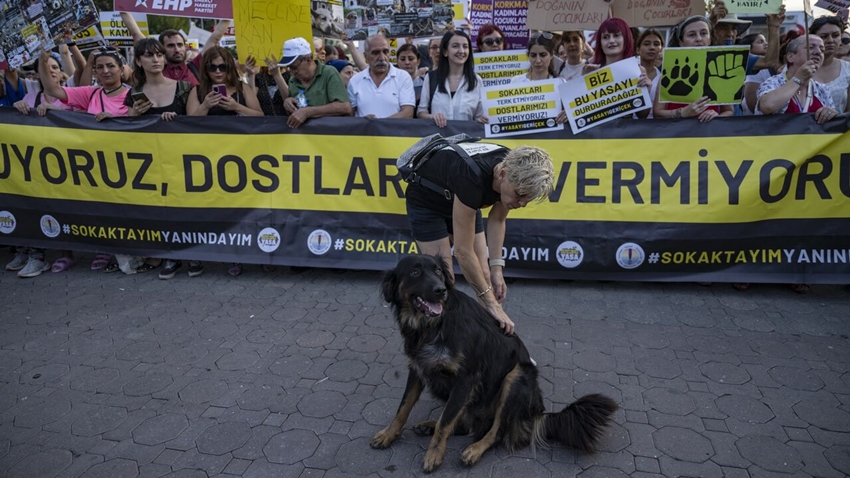 Turkish government dog law