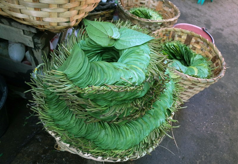 betel-leaves