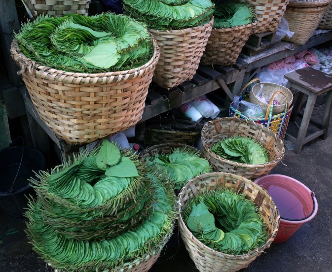 betel-leaves