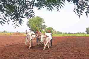 Monsoon, Climate Change, Agriculture, kharif season , Green Revolution, Skill Development,