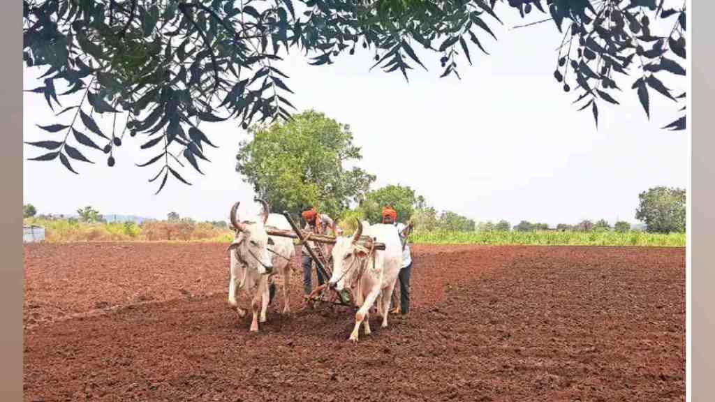 Monsoon, Climate Change, Agriculture, kharif season , Green Revolution, Skill Development,