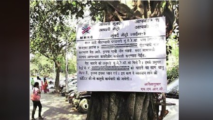 41 thousand for one tree of Metro Mumbai news