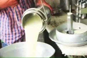 Decision of the Maharashtra government regarding milk subsidy for milk producer Pune news