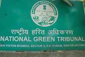 National Green Tribunal, noise pollution, Ganesha mandal, loudspeakers, ganesh Utsav 2024, dhol-tasha, Maharashtra Pollution Control Board, Pune Police, Ganeshotsav,