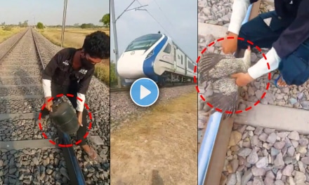 Viral video of a YouTuber putting stones, cocks, and cylinders on the railway track to prevent an accident