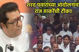 raj thackeray on sharad pawar