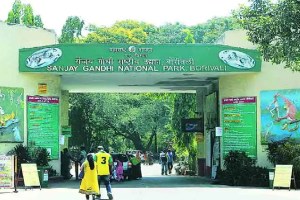 Increase in encroachment in Sanjay Gandhi National Park mumbai