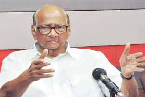 sharad pawar faction ask interested candidates to fill applications for assembly elections ticket