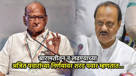 sharad pawar ajit pawar (3)