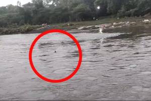 young woman jumps into indrayani river in alandi