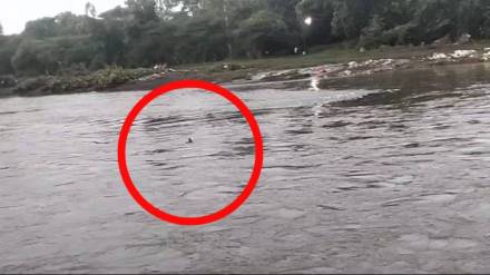 young woman jumps into indrayani river in alandi