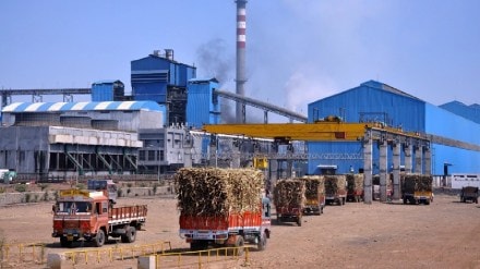 restrictions on ethanol production huge increase in frp ban on sugar export hit sugar sector