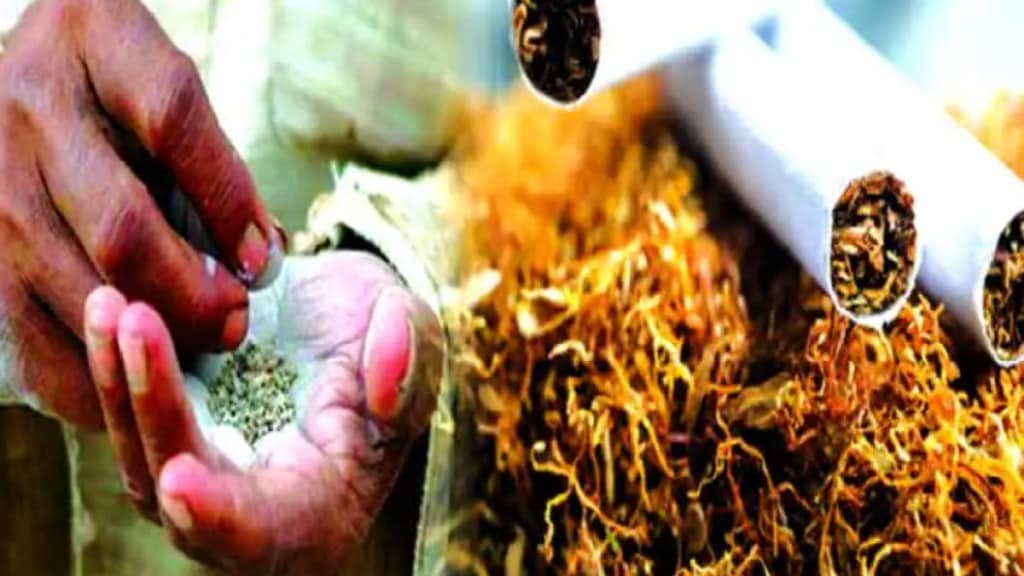 Ministry of Health and Family Welfare and National Commission of Medical Sciences to start tobacco free centers in medical colleges Mumbai news