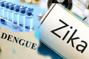 Dengue zika vaccine in India for adults