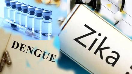 Dengue zika vaccine in India for adults