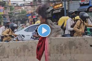 video of a bull attacking two men on a bike