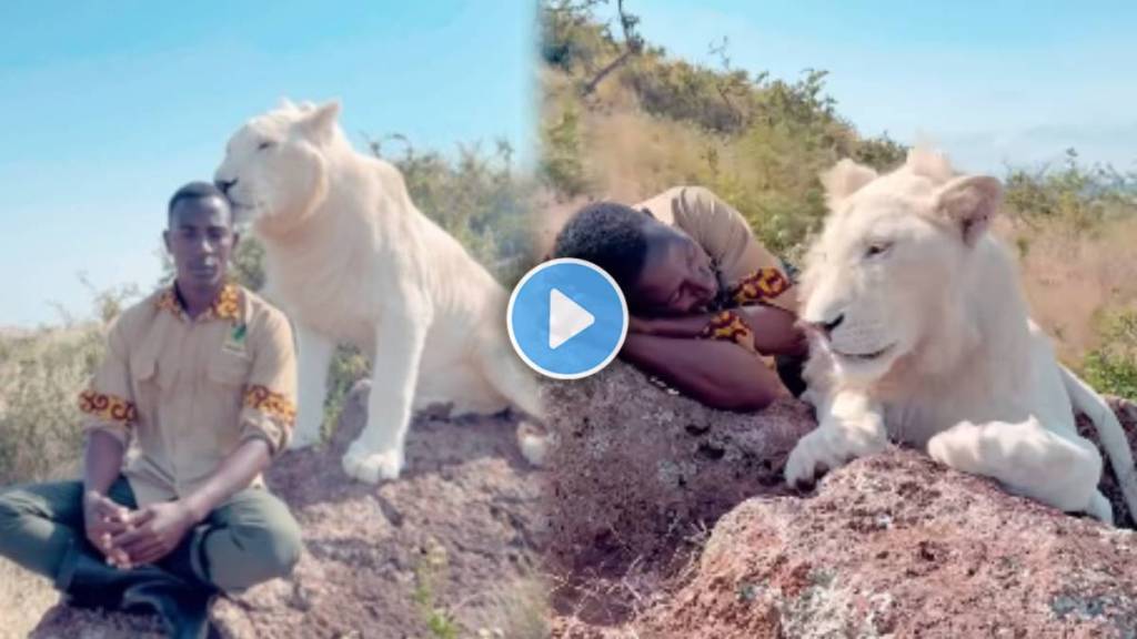 video shows man and a lioness sitting on a hill