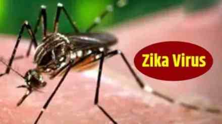 Zika virus | Pune| zika virus cases rising in pune| Zika virus cases increase