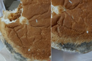 Burger king mould-infested burger viral post by a delhi man viral on social media