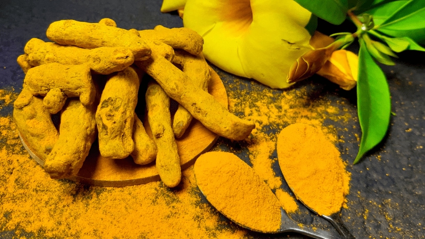 What happens to the body if you include turmeric in your diet for 2 weeks straight