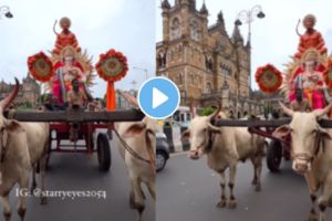 ganeshotsav 2024 |Bappas welcome ceremony in the farmers bullock cart