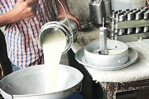 Food and Drug Administration seized 285 liters of adulterated milk in Mumbai news