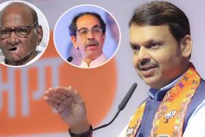 What Devendra Fadnavis Said About Sharad Pawar and Uddhav Thackeray?