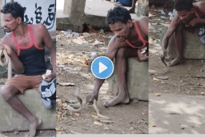 Drunk Man Pets Cobra Leaves Internet Stunned Viral